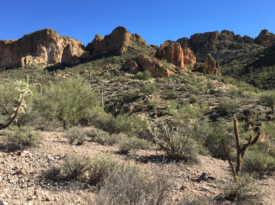 Gold Canyon ATV Rentals-Gold Canyon必去景点