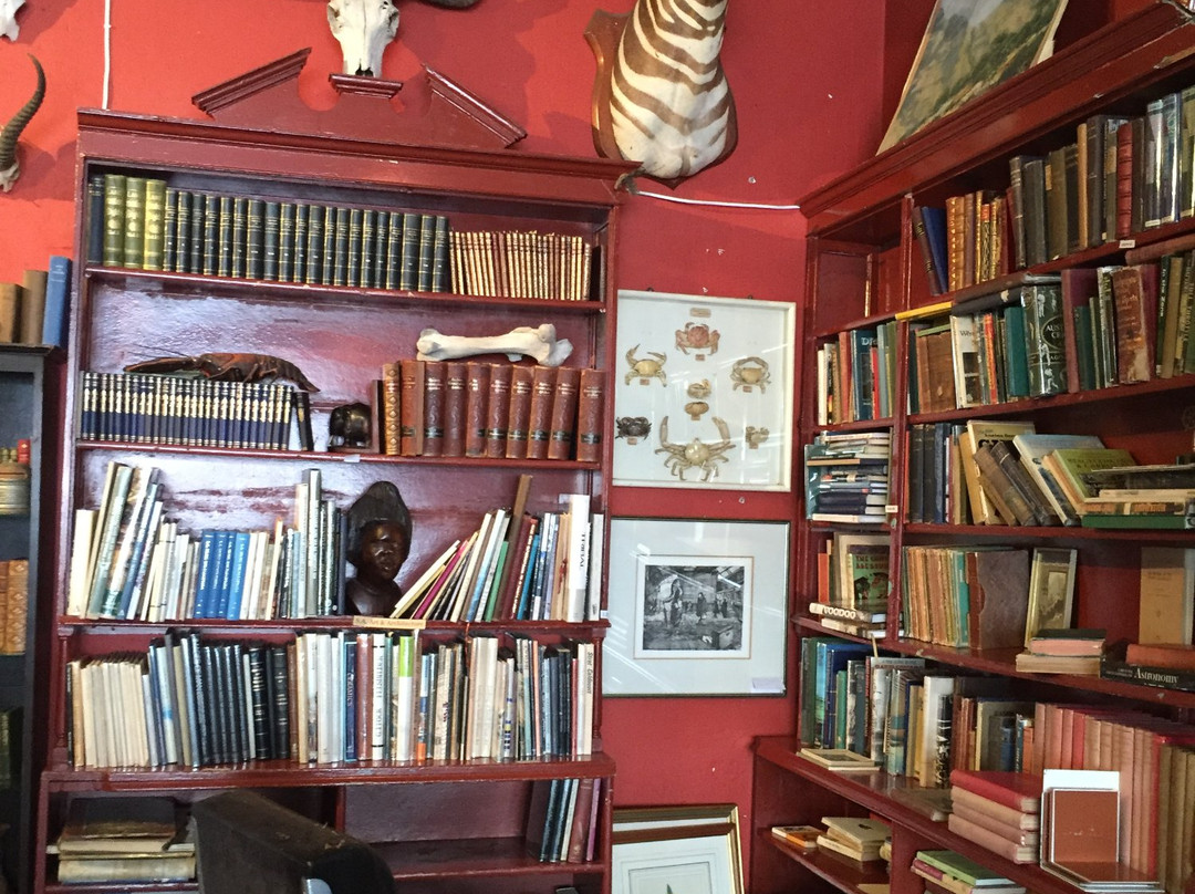 Quagga Rare Books and Art-Kalk Bay必去景点