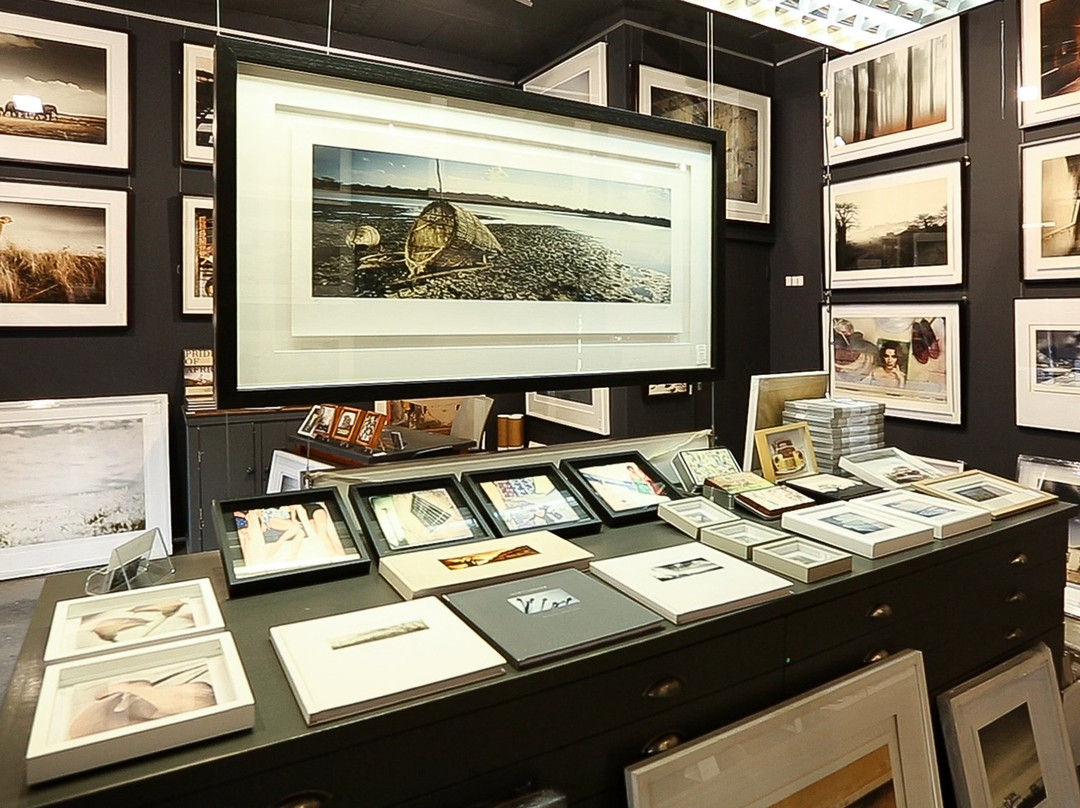 Osner Art Gallery-Green Point必去景点