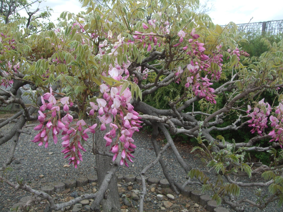 Toba Water Environmental Conservation Center-京都市必去景点