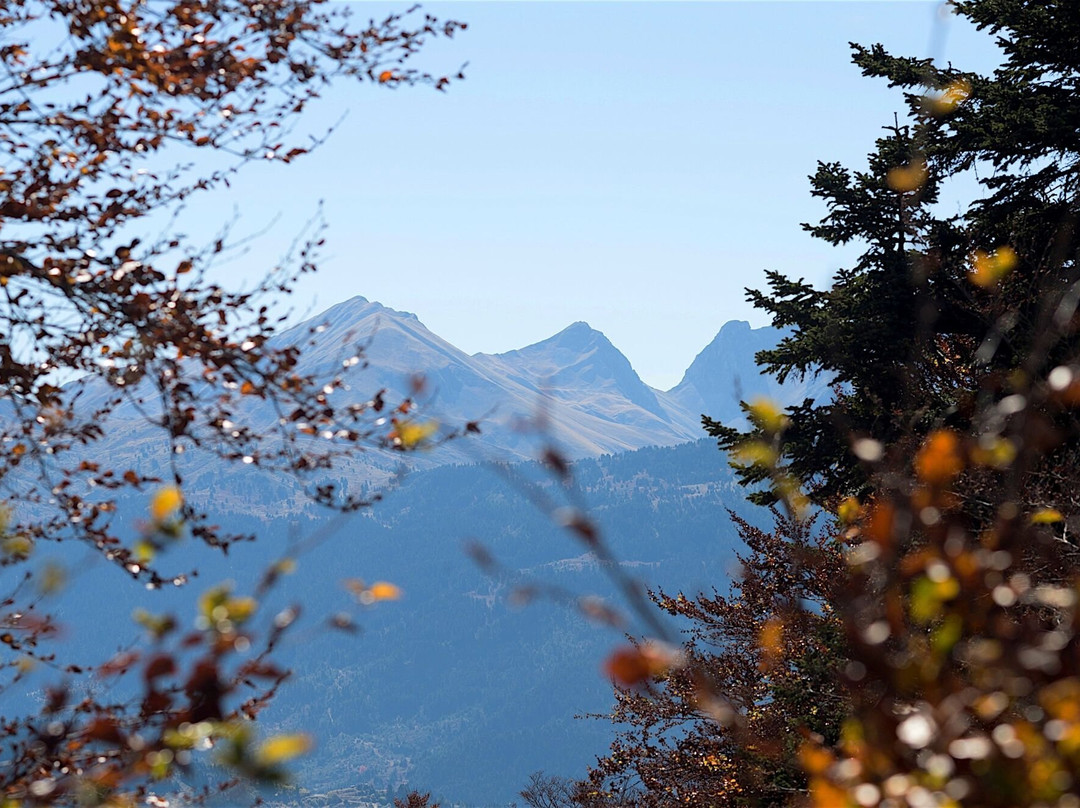 Hotel Koutsikouris主图