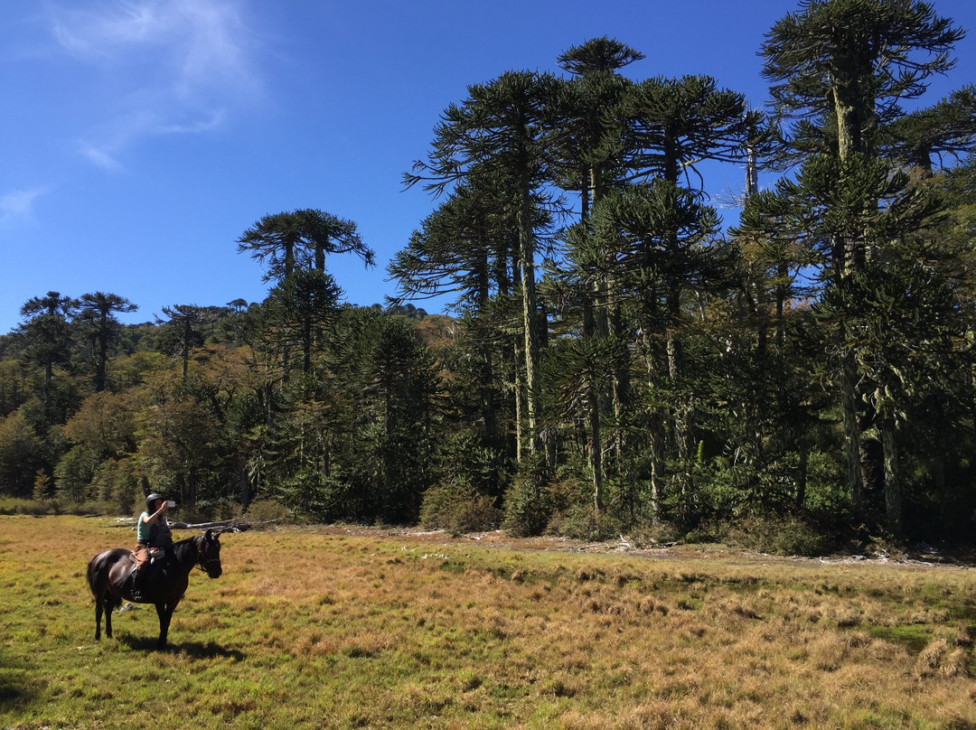 Alma Equina Pucon-普孔必去景点