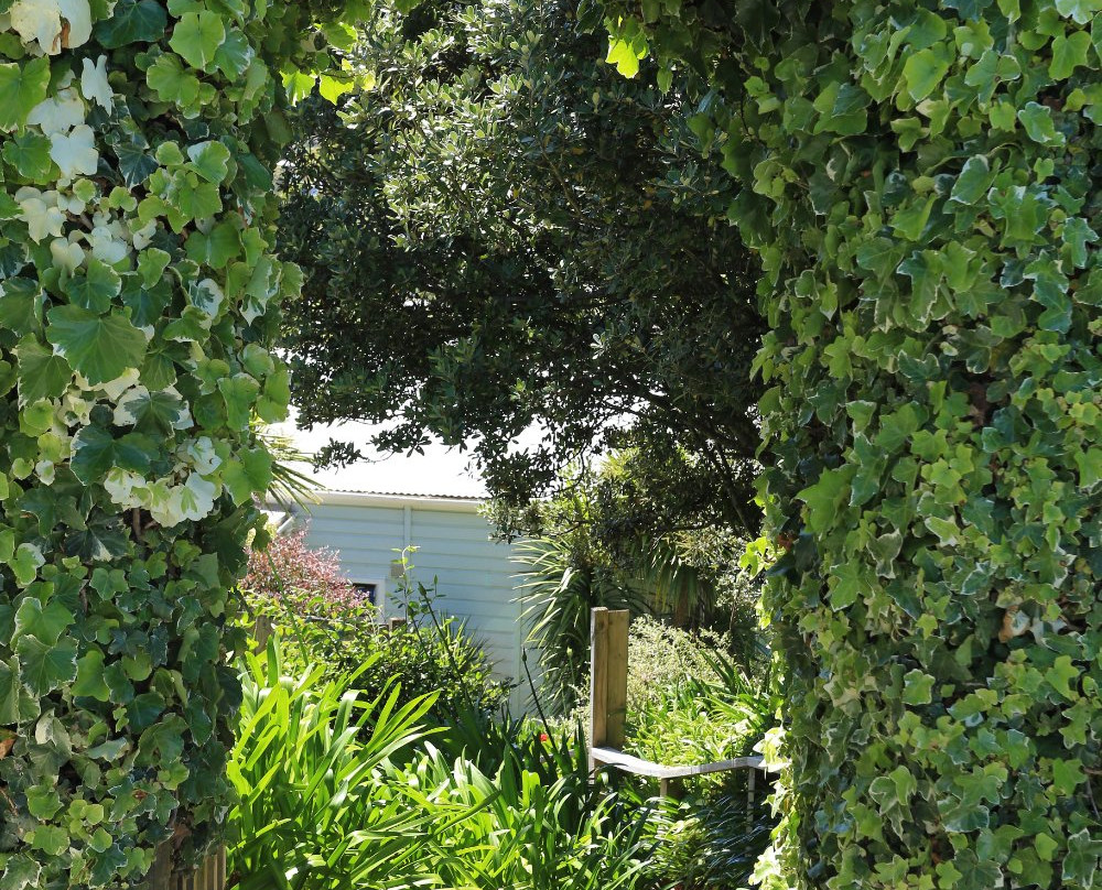 Waiheke Island Motel主图