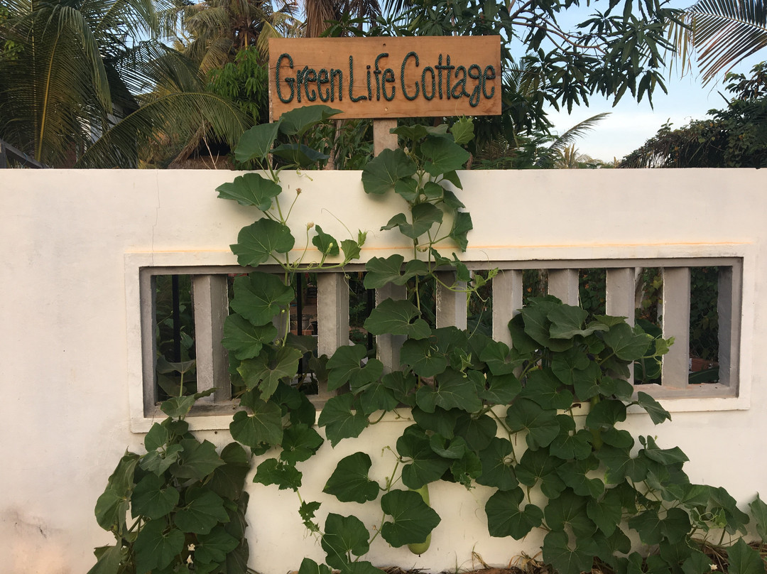 Green Life Cottage主图