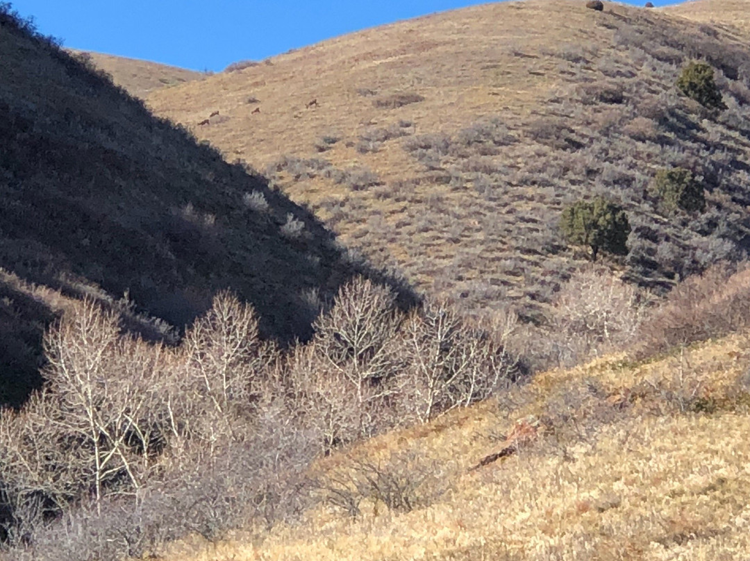 Matthews/Winters Park-戈尔登必去景点