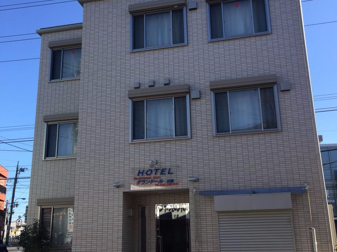 府中格兰多尔酒店主图