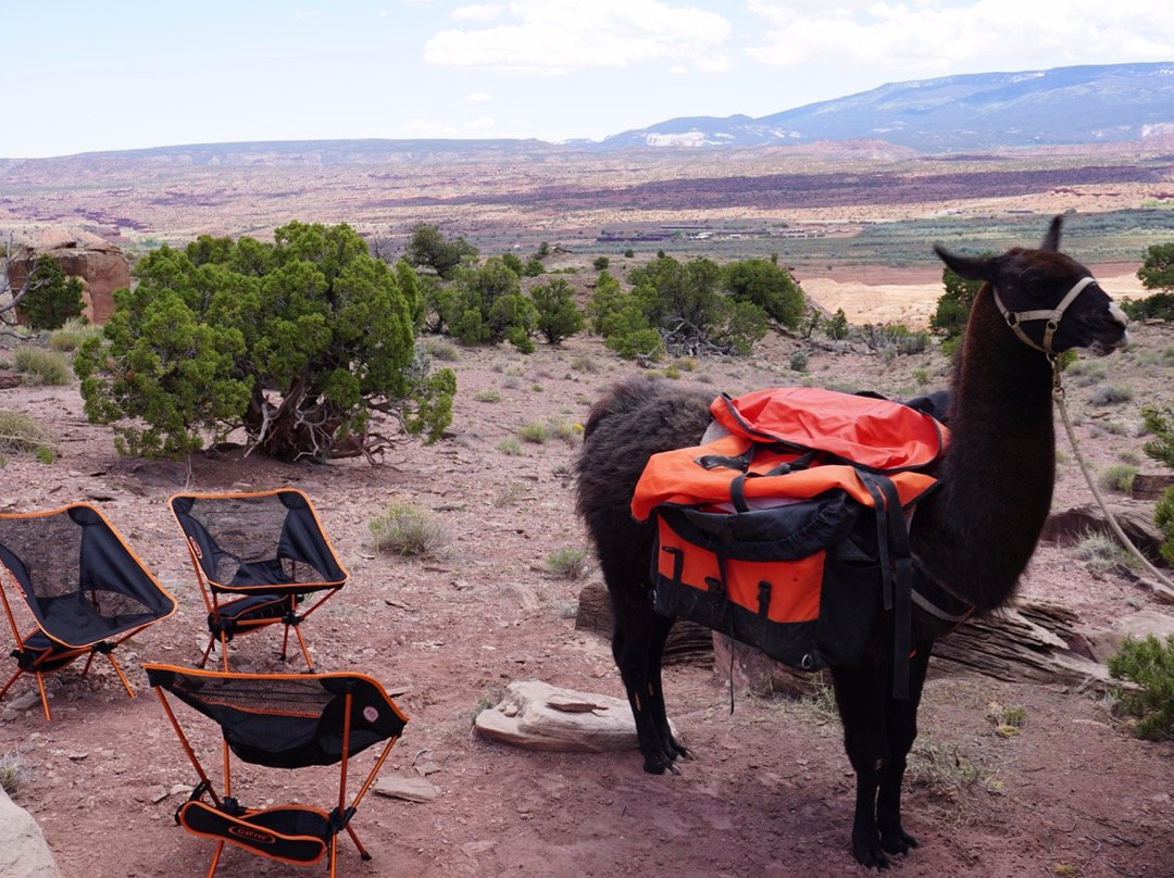 Wilderness Ridge Adventures-托里必去景点