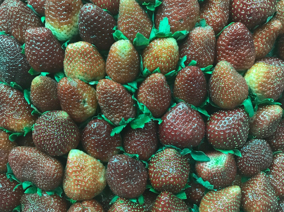 Central market-碧瑶必去景点