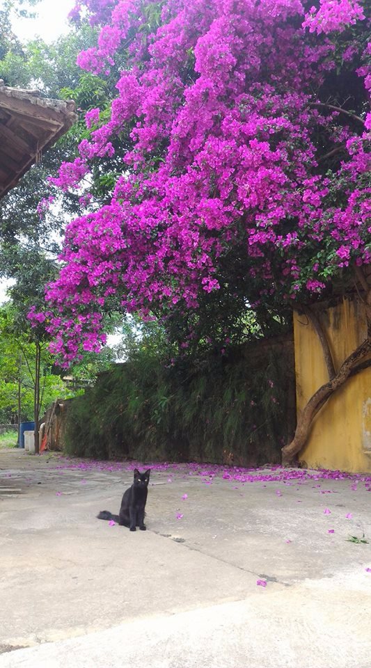 Grande Hotel Trilogia-家庭/游戏区