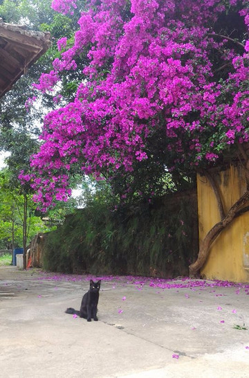 Grande Hotel Trilogia主图