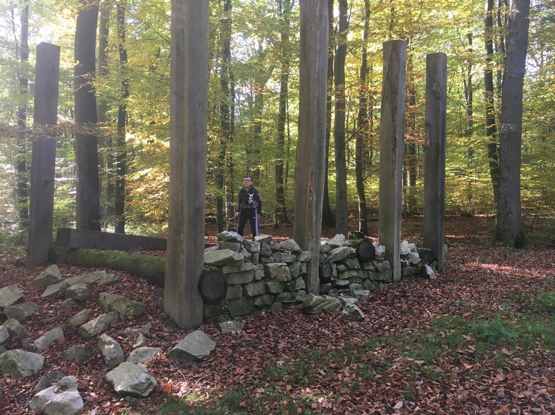 Celtic Trail at the Heidetränk Oppidum-Oberursel (Taunus)必去景点