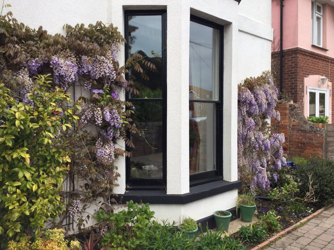 Lilac Villa Guest House主图