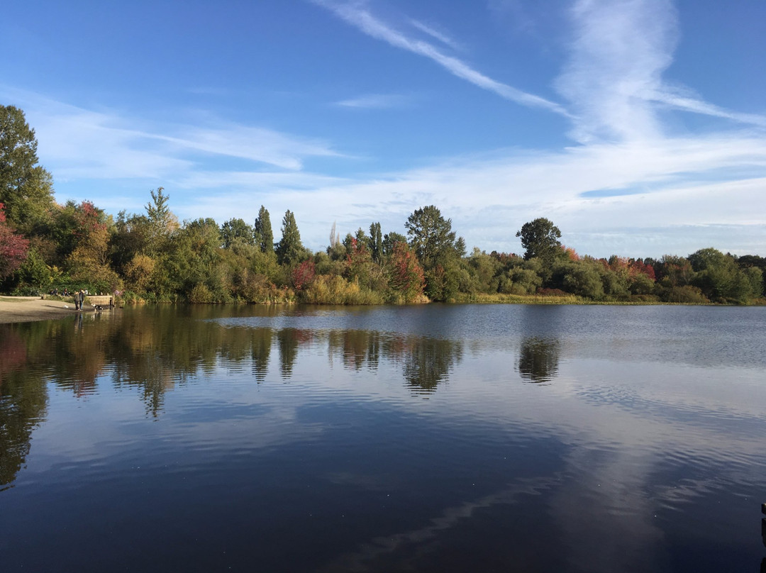 John Hendry (Trout Lake) Park-温哥华必去景点