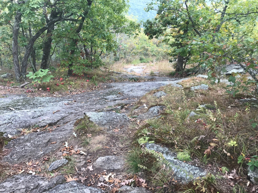 Macedonia Brook State Park-肯特必去景点