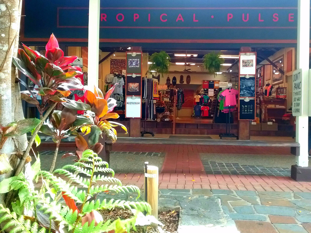 Tropical Pulse景点图片