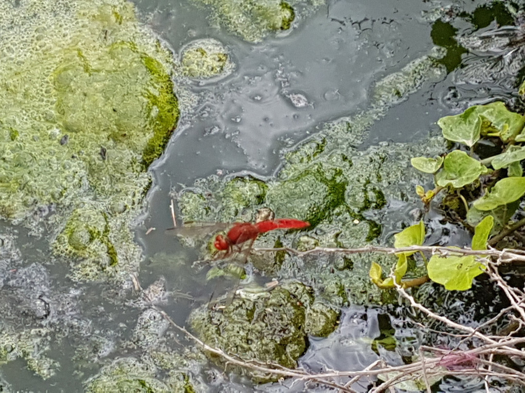 Lunzjata Valley-Kercem必去景点
