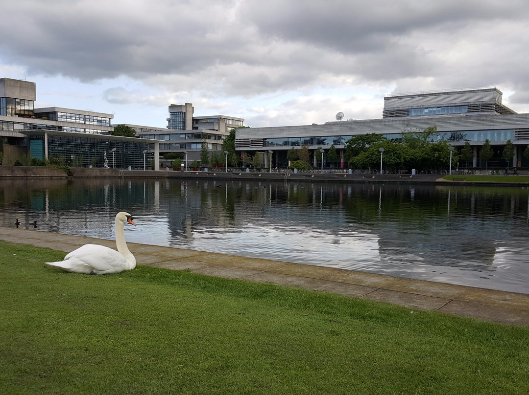 University College Dublin-都柏林必去景点