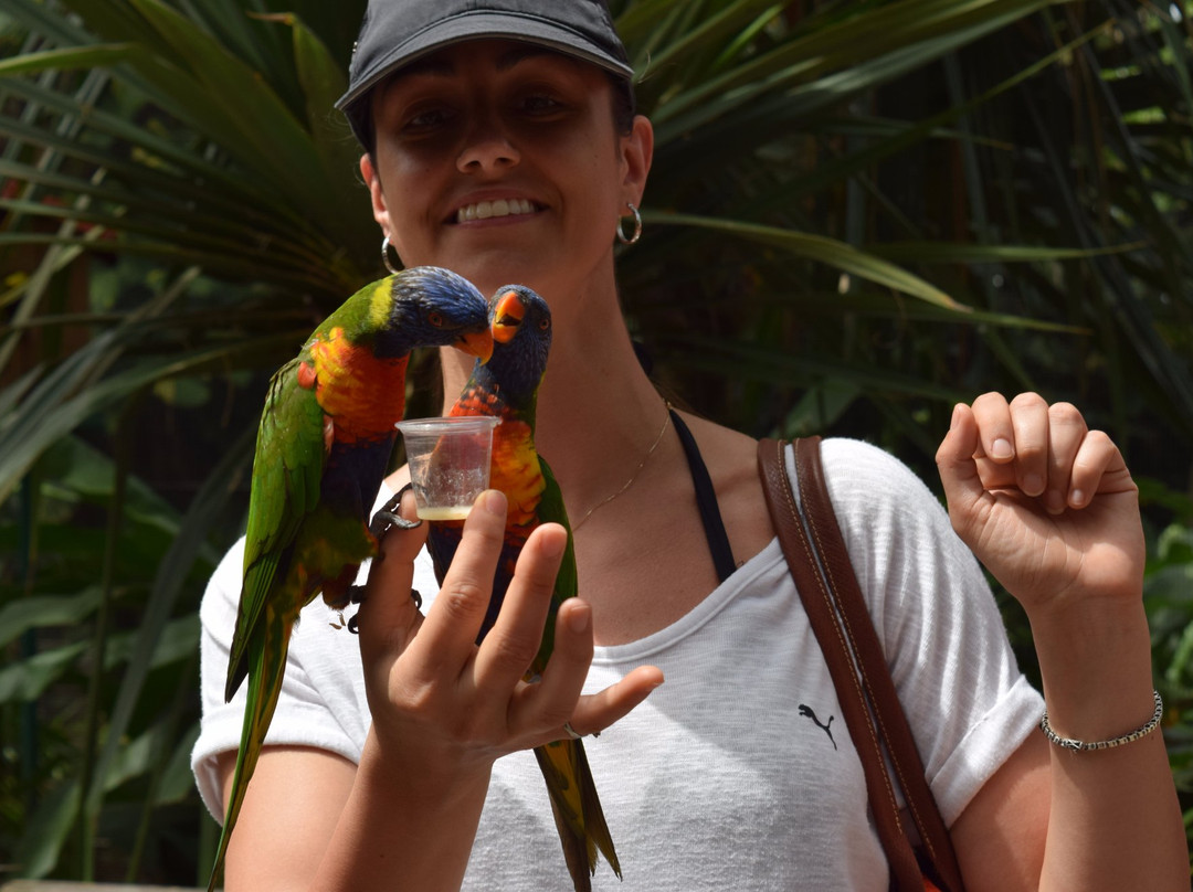 Guadeloupe Advisor-Saint-Claude必去景点