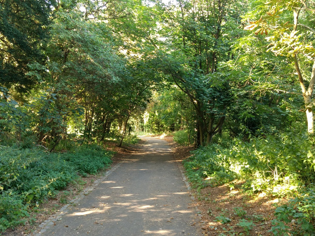 Goddington Park景点图片