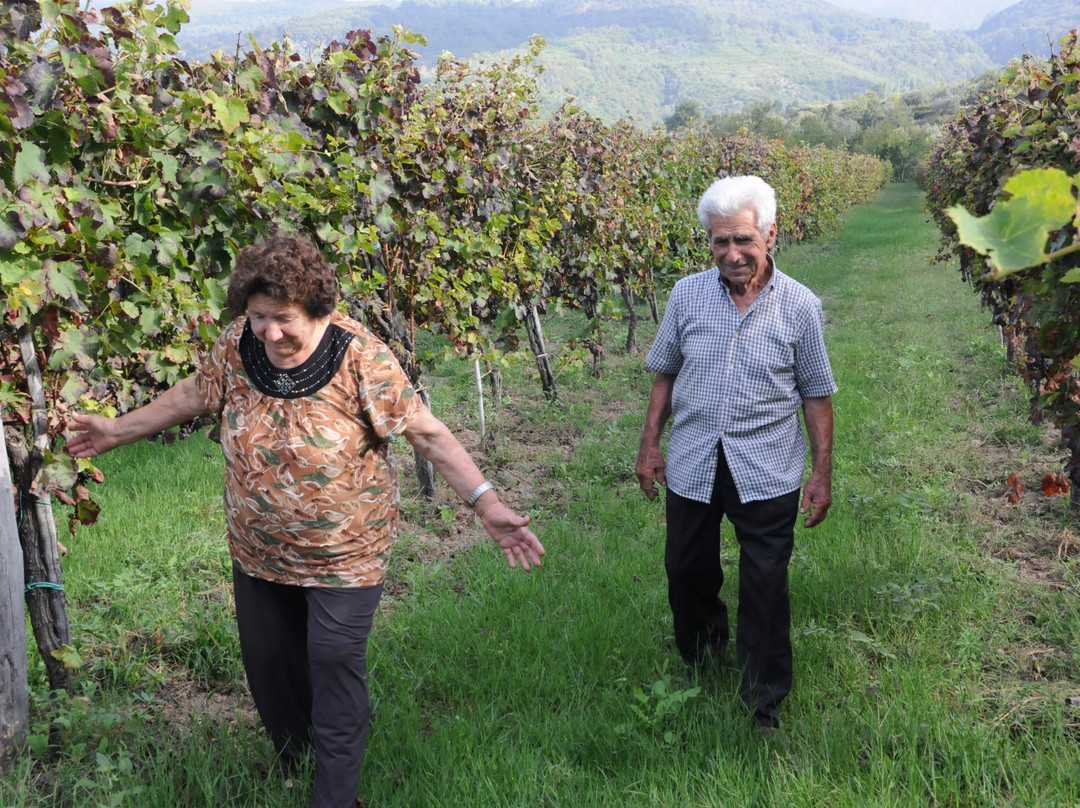 Volpara Azienda Agricola景点图片