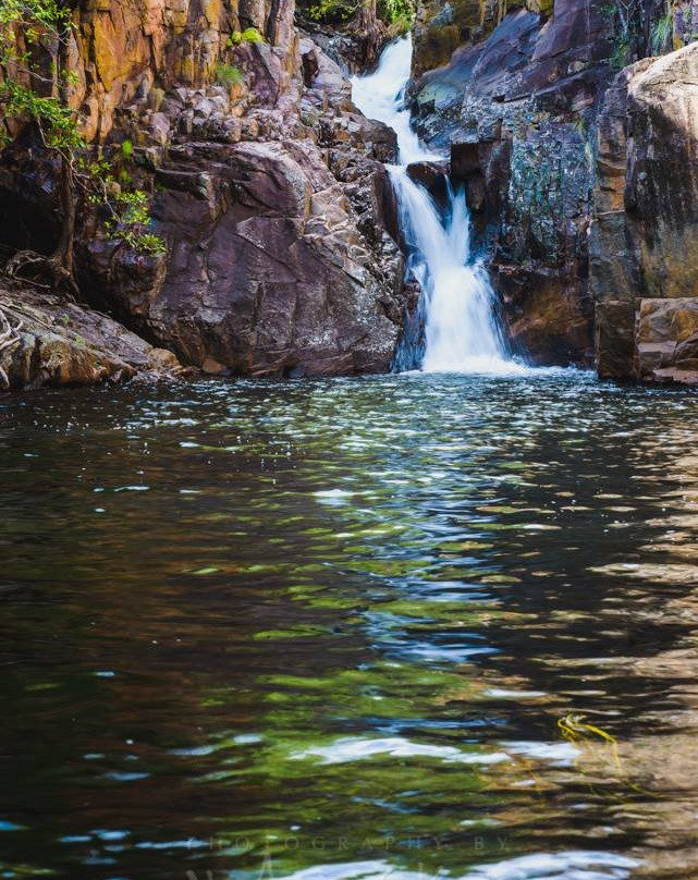 Territory Experiences One Day Tours-达尔文市必去景点