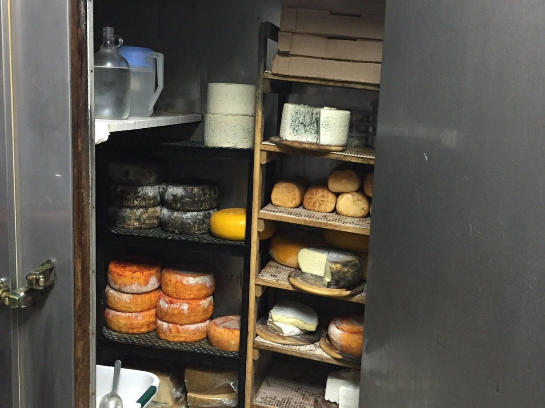 Kadosh Cheese Factory-萨法德必去景点