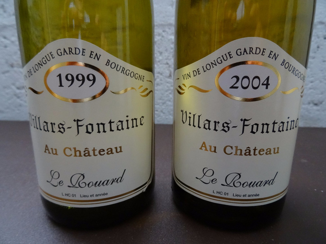 Domaine de Montmain景点图片