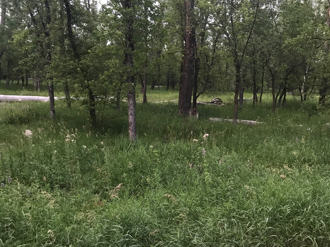 General Sibley Park & Campground-俾斯麦必去景点