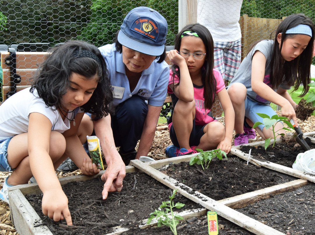 Vernon Area Public Library-Lincolnshire必去景点