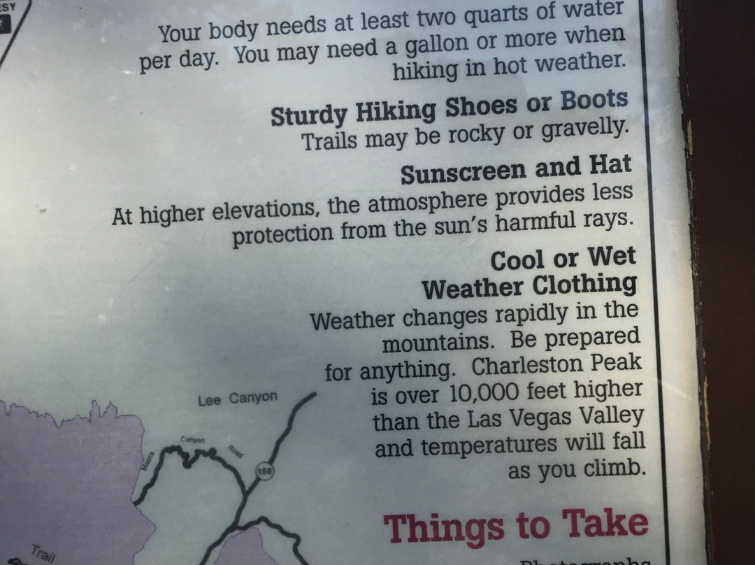 Bristlecone Trail-Mount Charleston必去景点