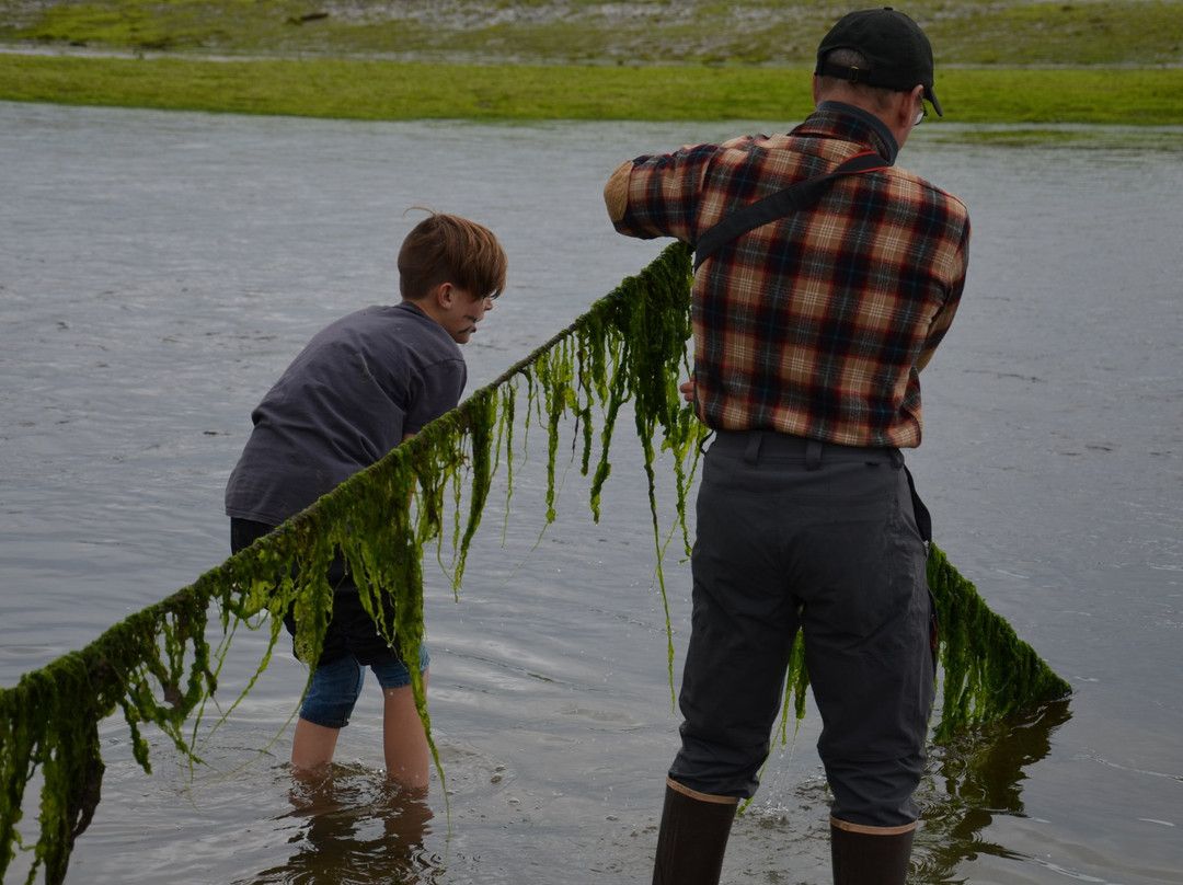 Glacier Bay Photo Tours-古斯塔夫斯必去景点