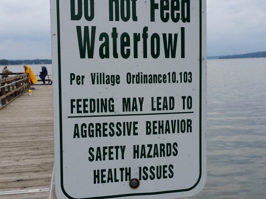 Pewaukee Lakefront Park-皮沃基必去景点