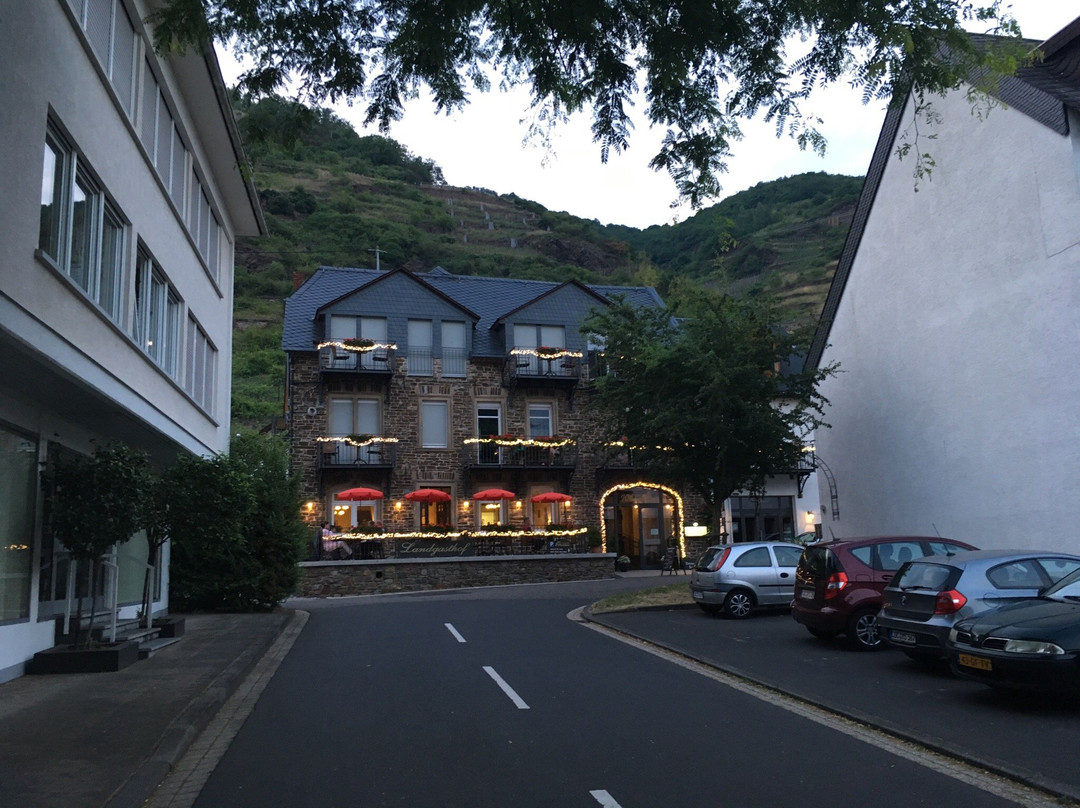 Landgasthof Winzerscheune主图