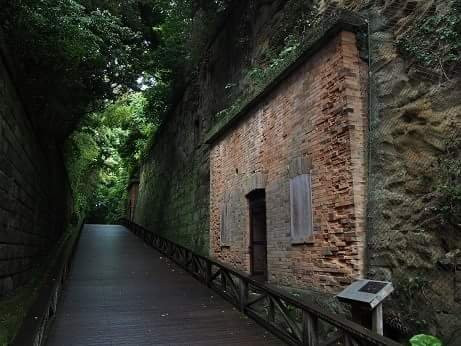 Sarushima Island (Monkey Island)-Saru-jima必去景点