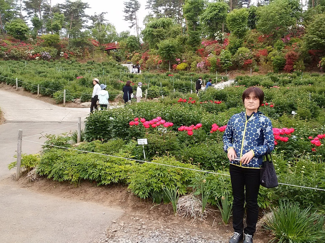 Okanbara Tsutsuji Garden-须贺川市必去景点