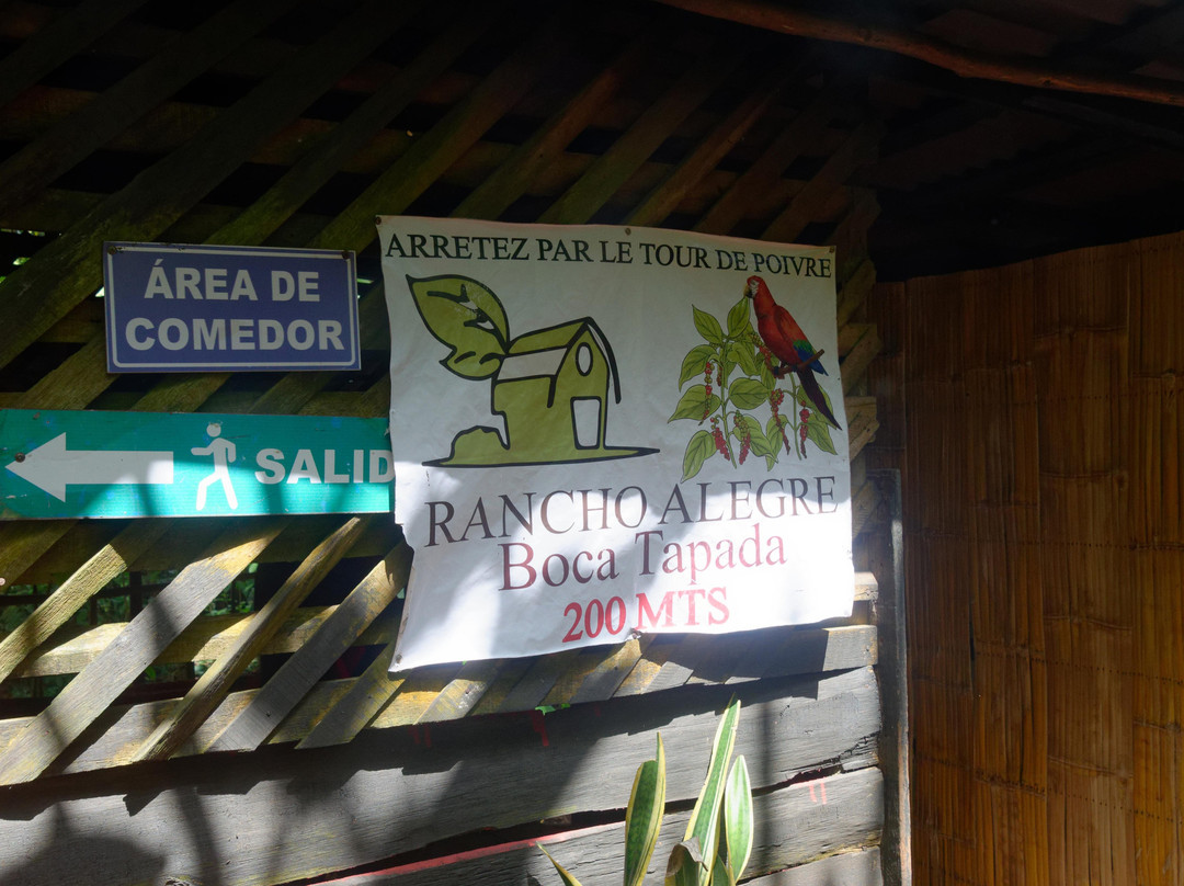 Rancho Alegre景点图片