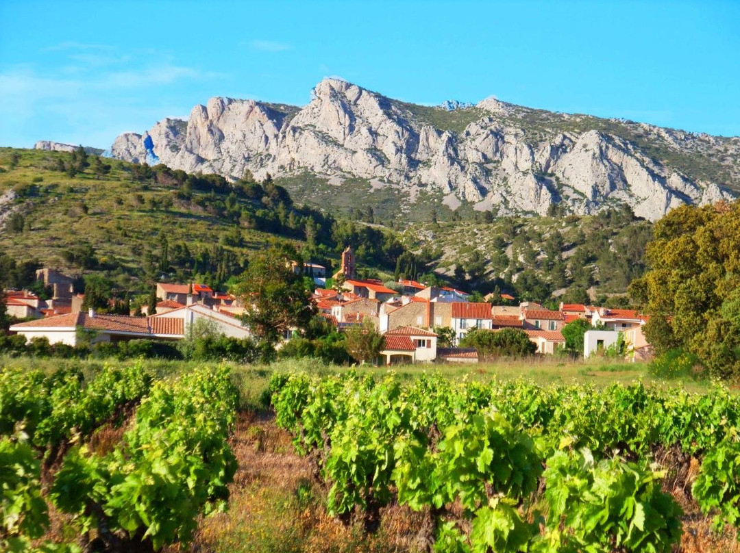 Domaine Vents du Sud景点图片