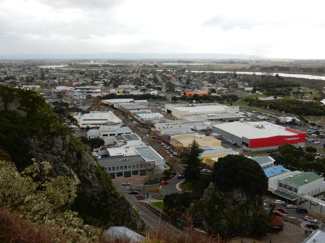 Puketapa Lookout景点图片