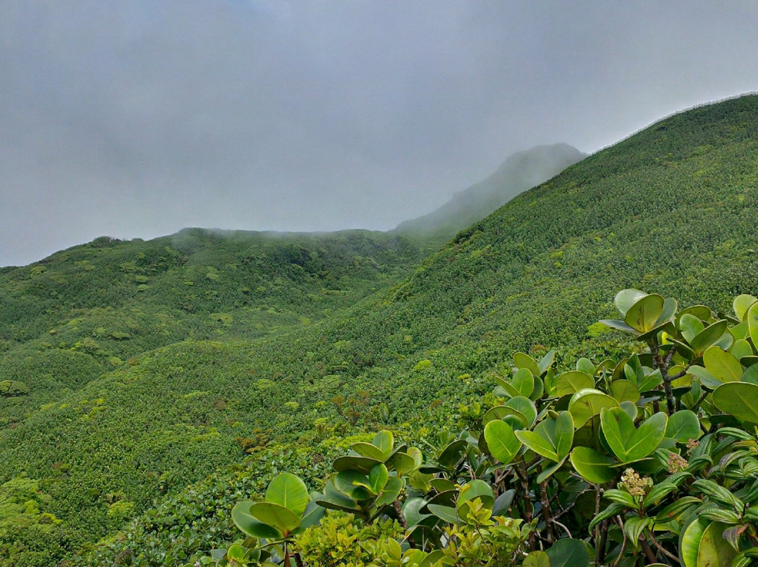 Northern Forest Reserve旅游攻略图片