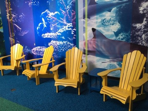 The Reef Beach Club & Pool-尼亚加拉大瀑布必去景点