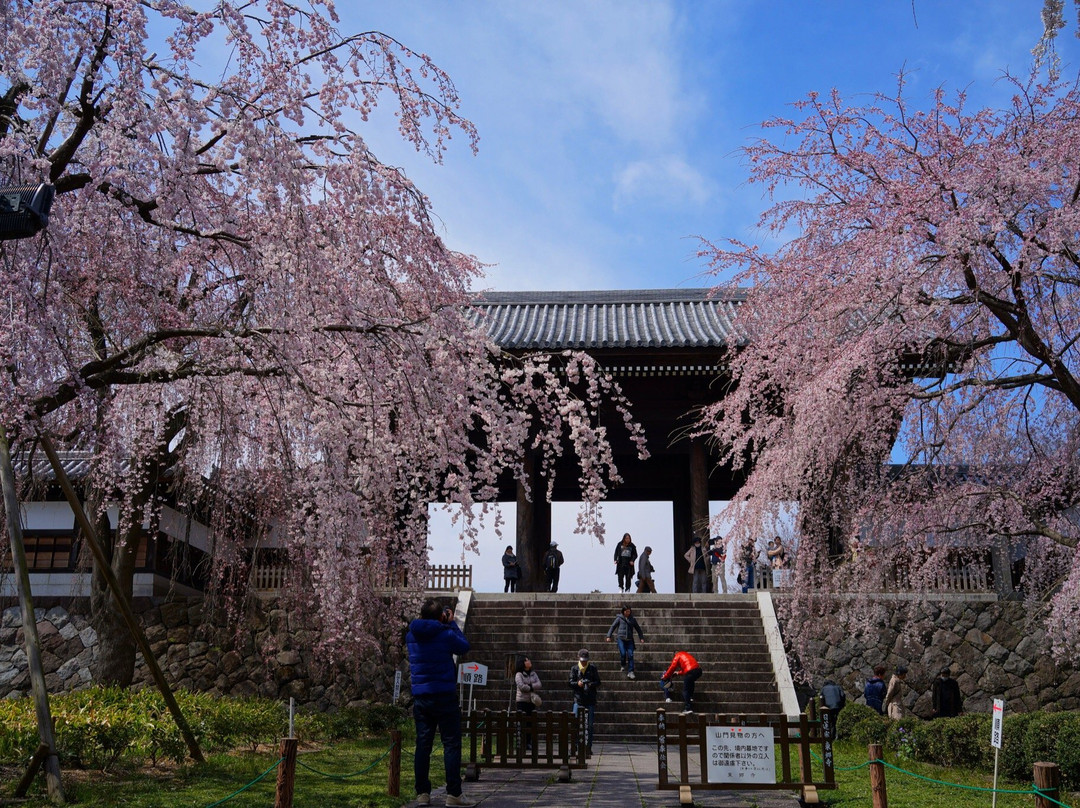 Togo-ji Temple-府中市必去景点