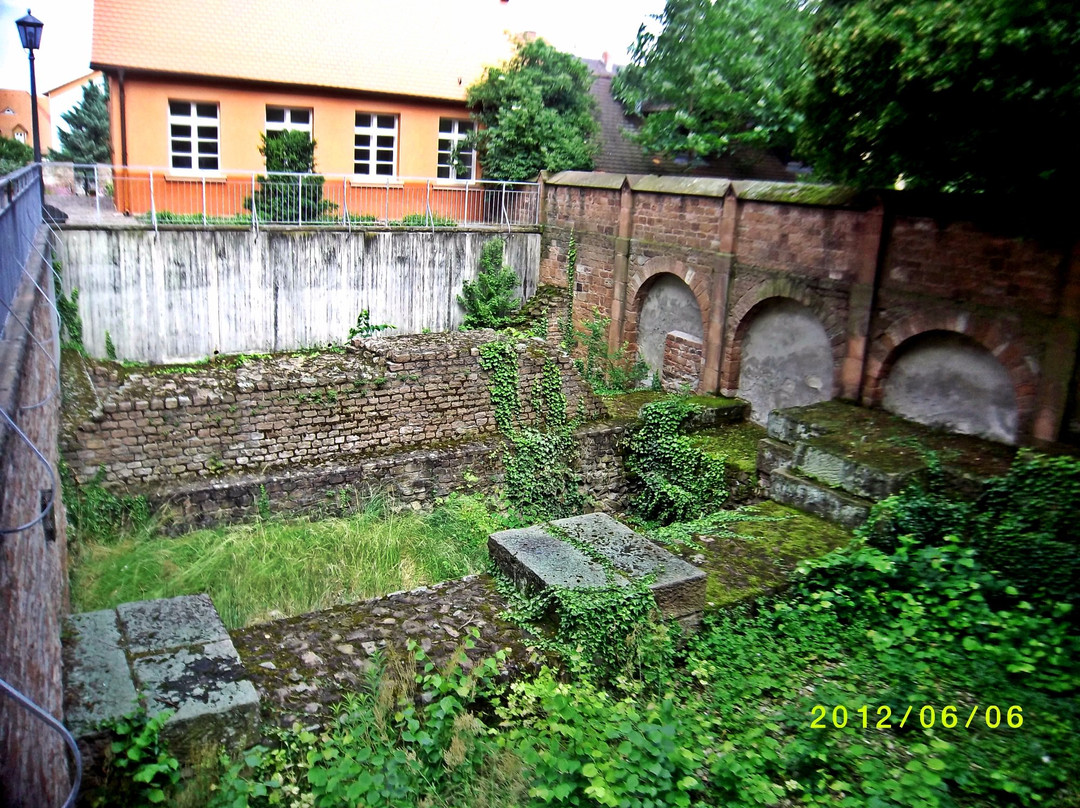 Lobdengaumuseum景点图片