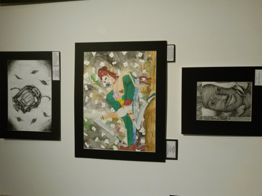 International Museum of Art & Science (IMAS)-麦卡伦必去景点