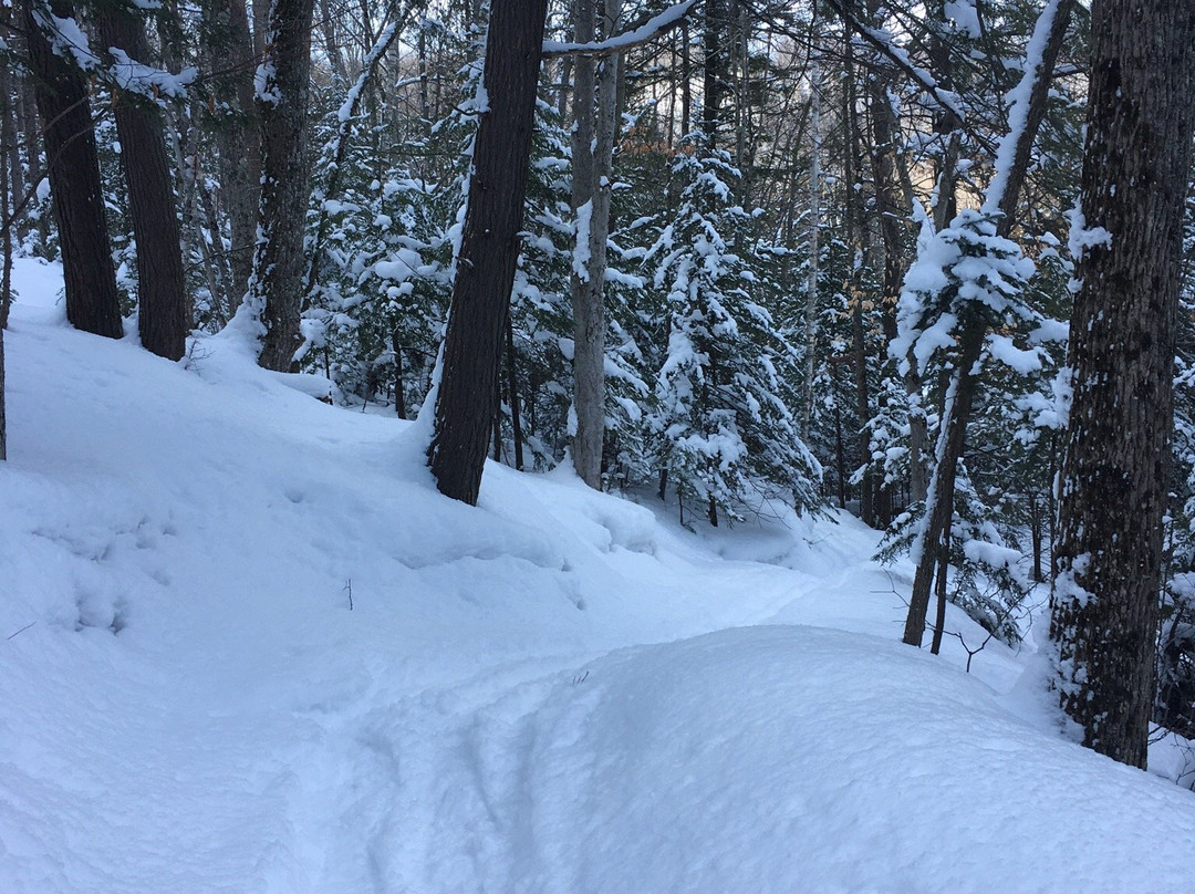 Devils Glen Provincial Park-Singhampton必去景点