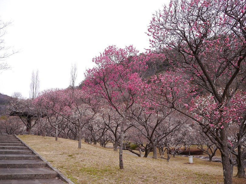 Bairin Park