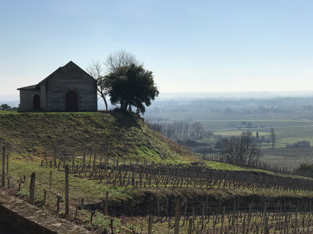 B Wine Tour-Le Pian Medoc必去景点