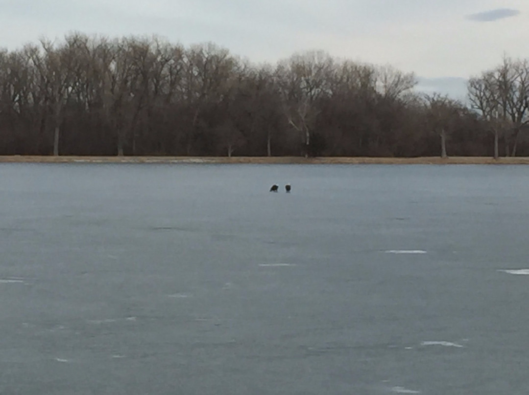 Lake Manawa Beach-康瑟尔布拉夫斯必去景点