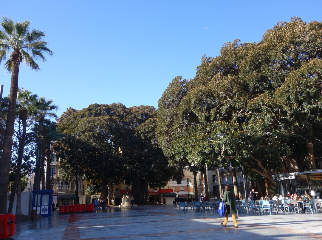 Plaza de San Francisco景点图片