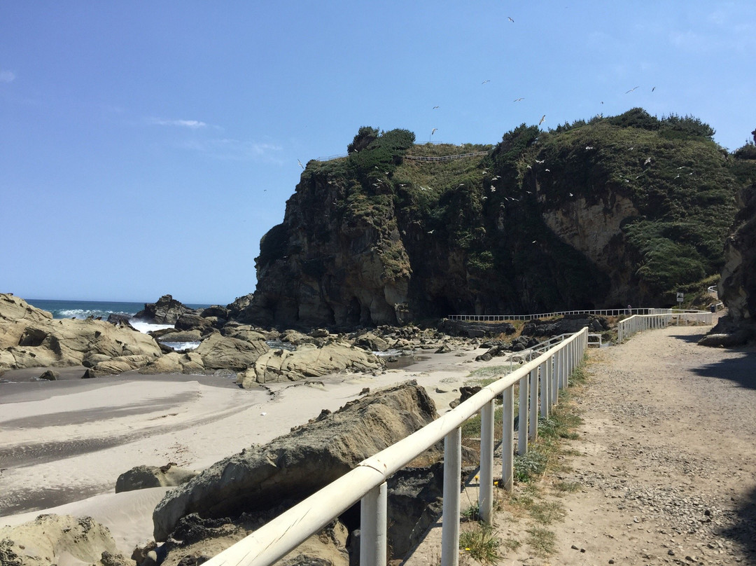 Cavernas de Benavides-Lebu必去景点