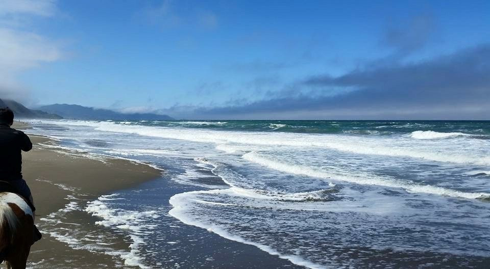 Mar Vista Stables-戴利城必去景点